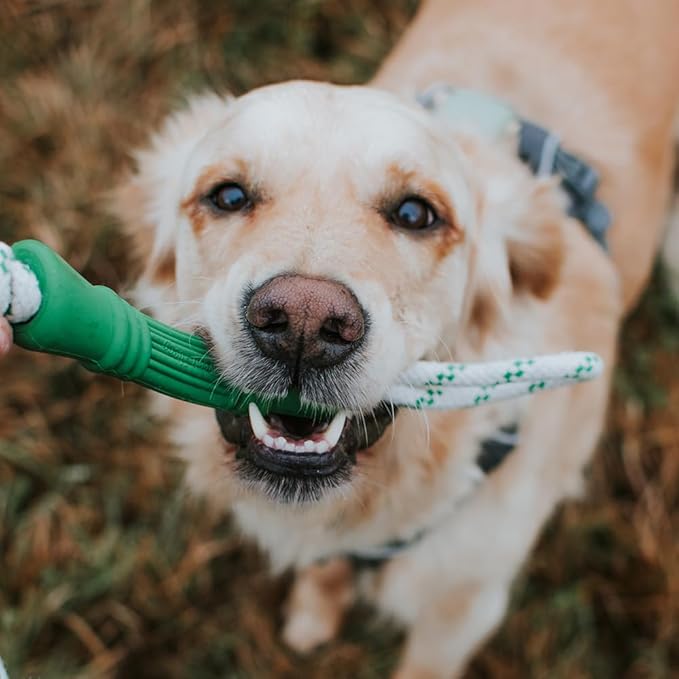 Green Sheep Natural Rubber Rope Dog Toy for Small to Large Dogs, Puppy Chew Toys for Teething, Tug of War Dog Toy with Recycle Cotton Rope, Durable Rubber Dog Toys