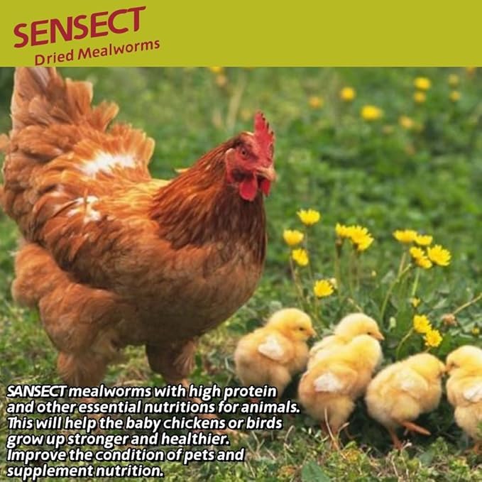 SANSECT 20 LB Dried Mealworms, 100% Natural, Non-GMO Mealworms for Chickens-High Protein Treats for Chickens, Ducks, Wild Birds