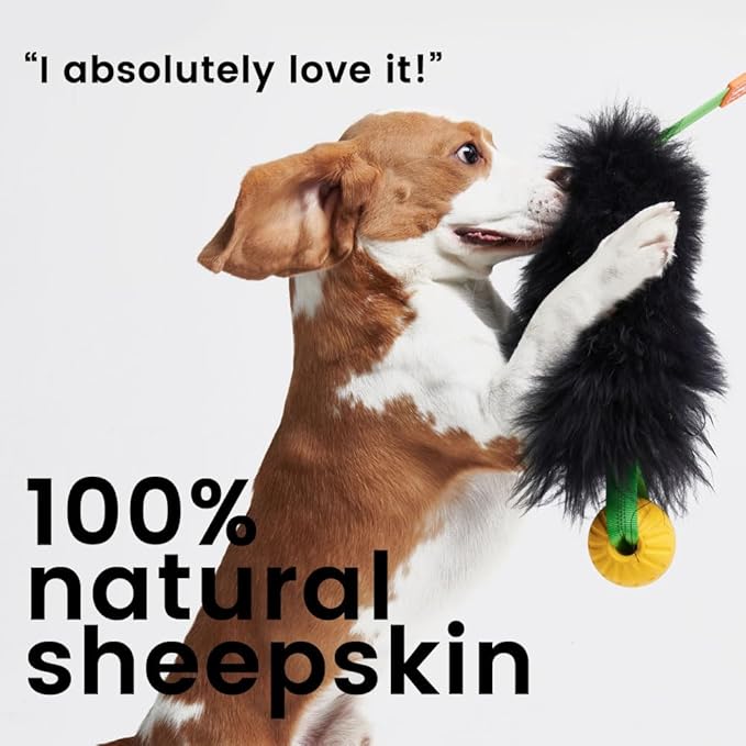 HOWGO Dog Rope Toy,Dog Bungee Chaser Toy 100% Sheepskin,Sheep Smell Tug Toy for All Breeds (Orange, Long with Ball)