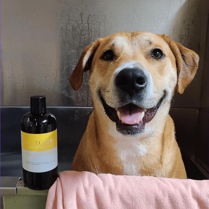 iGroom Banana Dog Shampoo, Luxury Pet Beauty Care, Nutrient-Rich Banana Extract, Nourish & Moisturize, Made in USA, 16 oz