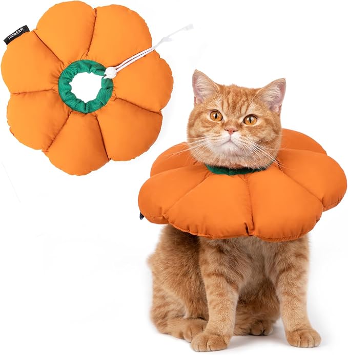 Cat Cone Collar,Cute Waterproof Recovery Collar,Anti-Bite Lick Wound Healing Safety Elizabethan e Collar for Cats,Orange Pumpkin Cat Halloween Costume