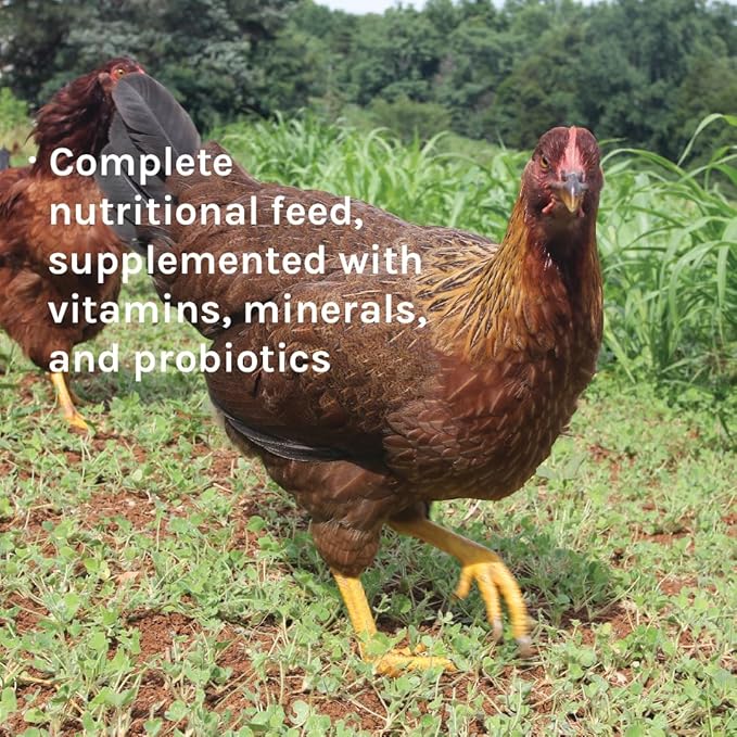 New Country Organics | Classic Grind Layer Chicken Feed for Laying Hens | Ground Grain | Soy-Free | 17% Protein | Certified Organic & Non-GMO Chicken Food | 50lbs Bag