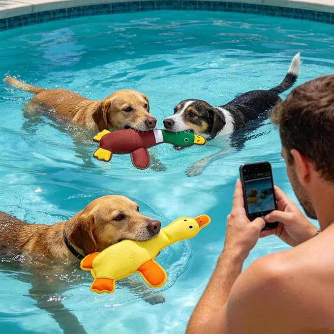 EXPAWLORER Squeaky Floating Dog Toys for Water Fetch, Stuffed Duck Dog Pool Toys with Squeakers, Soft Mesh Interactive Outdoor Summer Essentials for Small Medium Large Dogs, 2 Pack