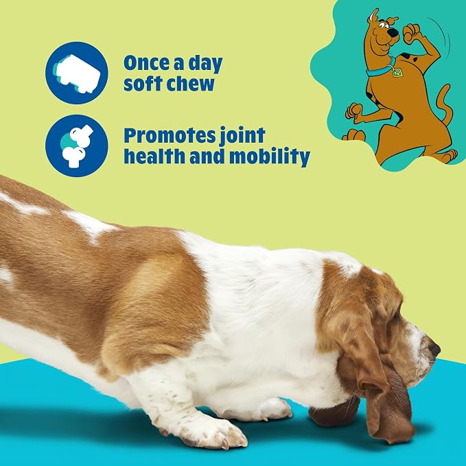 BARK x Scooby Hip & Joint Supplement for Small Breed Dogs