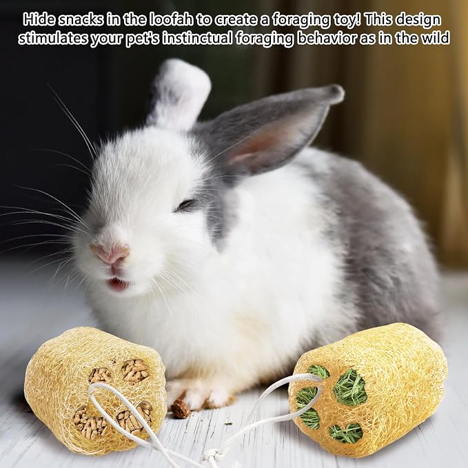 12 Pcs Rabbit Chew Toys Natural Bunny Loofah Chew Toy Chinchilla Teeth Grinding Toys Guinea Pig Fibre-Rich Treats Enrichment Bunny Accessories for Rabbits Hamster (M)