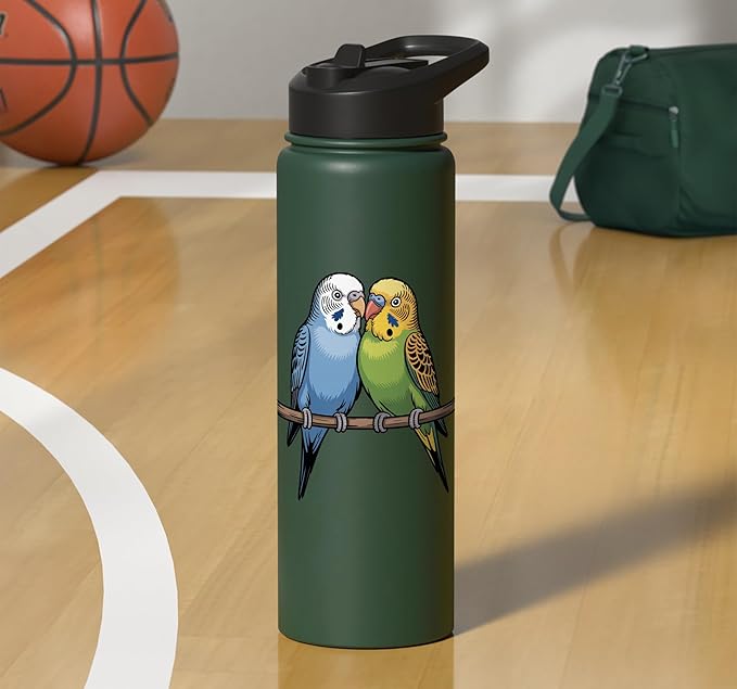 Parakeet Couple Cute Budgie Bird Lovers Art Stainless Steel Insulated Water Bottle