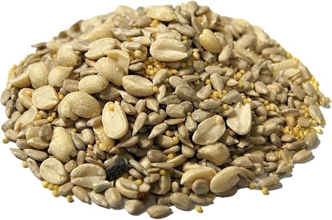 Backyard Seeds Wild Bird Seed Blend 5lbs - Premium No-Waste Mix with Sunflower Chips, Shelled Peanuts & Hulled Millet, Small Bag of Wild Bird Food