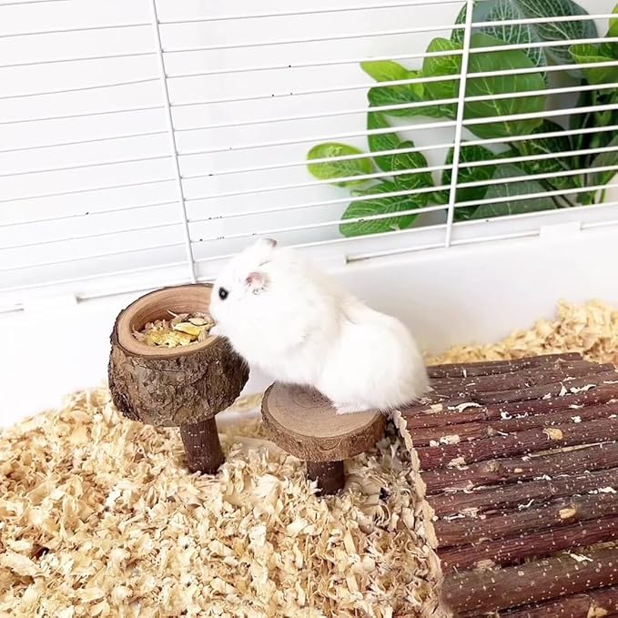 Apple Wood Feeding Bowl for Small Animals, Food Dish for Guinea Pig, Chinchilla Parrots