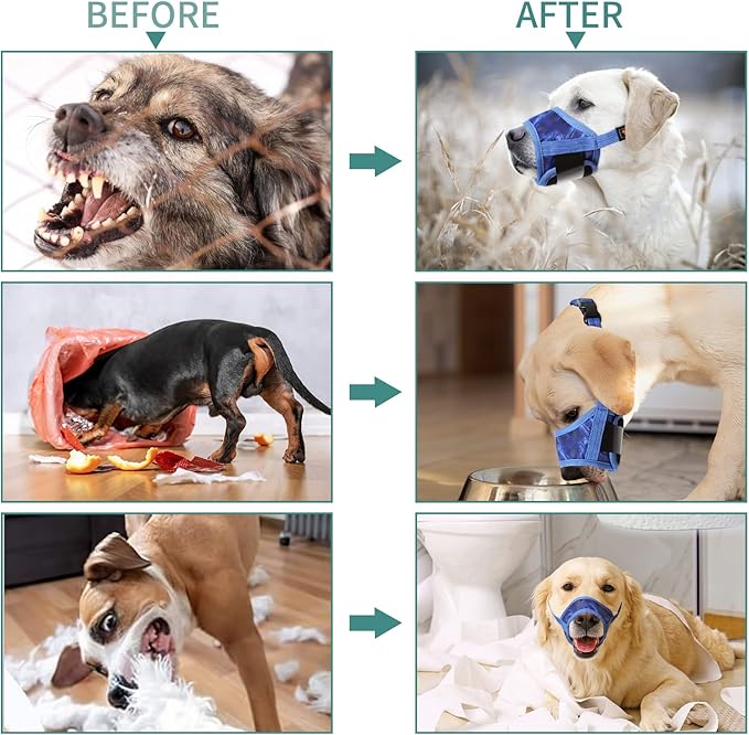 HEELE Dog Muzzle,Soft Nylon Muzzle Anti Biting Barking Chewing,Air Mesh Breathable Drinkable Adjustable Loop Pets Muzzle for Small Medium Large Dogs 4 Colors 4 Sizes (P-Sky Blue, XS)
