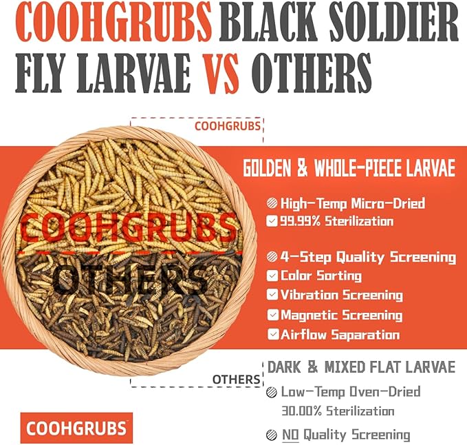 COOHGRUBS Black Soldier Fly Larvae for Chickens – 100% Natural Non-GMO Grubs, 85X More Calcium Than Dried Mealworms – Clean, Nutritious & Delicious High-Protein Poultry & Bird Treats, 5-lb Box