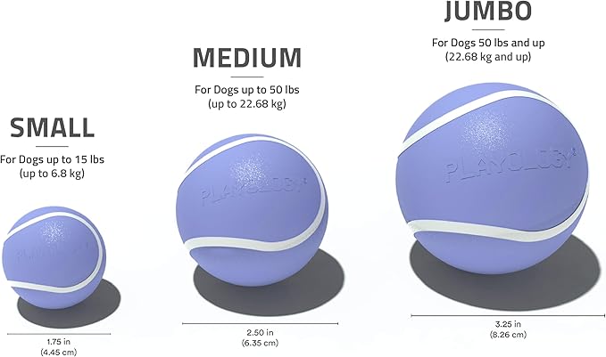 Playology Dog Toys | Squeaky Chew Ball for Dogs, Value 3-Pack | Blueberry Scented Small Dog Balls | Bouncy Floating Chew Toys for Fetch