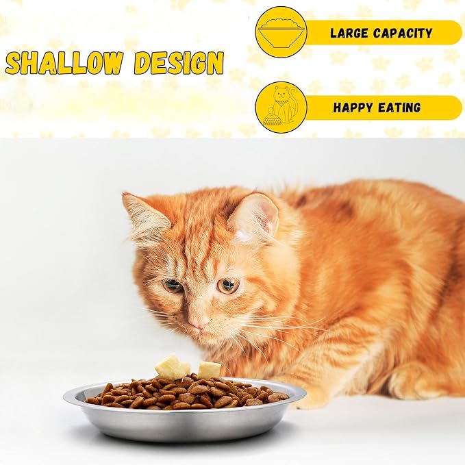 Domensi 8 Pieces Stainless Steel Cat Bowls 5.5 Inch Wide Flat Cat Dish Small Plate for Kittens Ferrets Wet and Dry Food