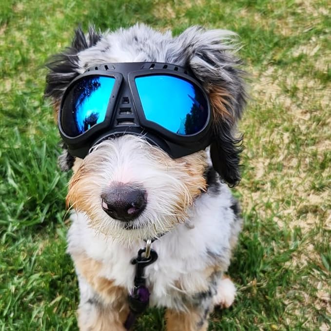 Namsan Dog Goggles Small Breed, Wide Snout & Soft Frame, Tactical Driving Sunglasses for Dogs Small to Medium Breed, Anti-UV Dog Eye Protection, Windproof Dustproof, Adjustable, Blue Lens