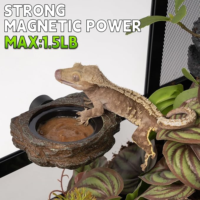 Magnetic Gecko Feeding Ledge, Reptile Food Dish with 3PCS Feeding Cups Crested Gecko Feeder Ledge Water Bowl for Lizard Chameleon Bearded Dragon Tank Accessories