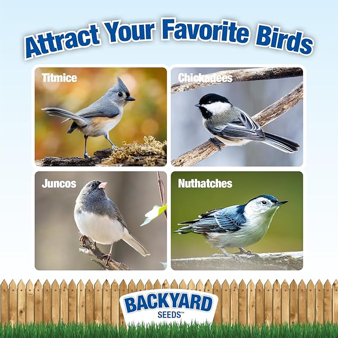 CountryMax Backyard Seeds Value Blend Economy Mix Wild Bird Seed 20 Pounds