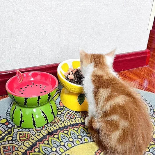 Hamiledyi Ceramic Raised Cat Bowl 2PCS Anti Vomiting Elevated Tilted Cat Food & Water Bowls Pet Feeder Dish for Indoor Kitty and Small Dogs (Watermelon & Lemon)