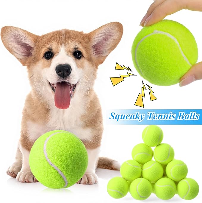 Skylety 100 Pcs 2.5 Inch Squeaky Tennis Balls Bulk for Dogs Bouncy Floatable Tennis Balls Dog Playing Supplies Training Interactive Fetch Toys Indoor and Outdoor for Small Medium Puppy (Green)