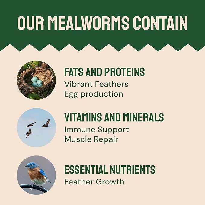Hatortempt Dried Mealworms for Wild Birds - 1.8 Lb Bag - Non-GMO Bluebird Food - High-Protein Meal Worms for Blue Birds, Robins and Chickadees