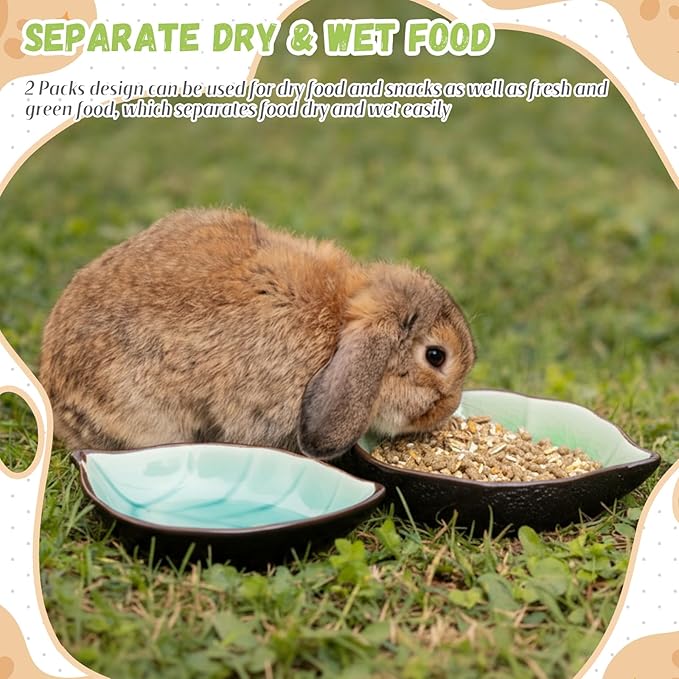 2 Pcs Hamster Food Bowl Ceramic Food Water Feeding Dish for Hamster Guinea Pig Hedgehog Gerbil Dwarf Rat Mice Chinchilla Sugar Glider(Leaf)