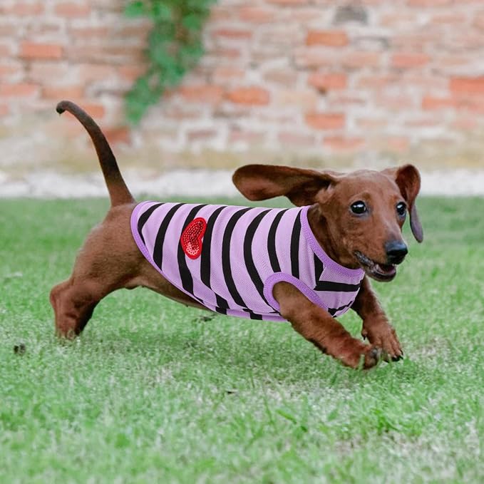 Dog Shirts for Small Dogs, Striped T-Shirts Pets Vest Pet Apparel Tee Shirts Dog Tank Top Spring Summer Suitable for Chihuahua French Bulldog Bichon Shih Tzu