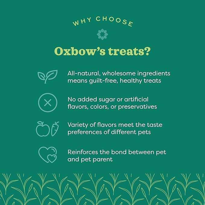 Oxbow Organic Barley Biscuits, Rabbit & Guinea Pig Treats, Organic Hamster & Bunny Treats with Barley, Apple & Carrot, Made in USA, Small Pet Supplies, 2.65 oz Bag