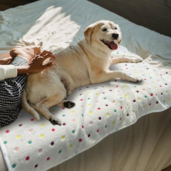 Dog Blankets for Medium Large Dogs, 3 Pack Dog Blanket Washable 30" x 20", Gifts Puppy Essentials, Fuzzy Soft Pet Mat Throw Cover for Kennel Crate Bed, Cat Blanket, Blankets for Dogs, Pet Blanket