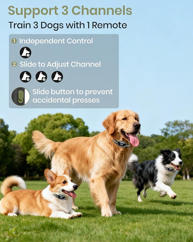 2-in-1 Bark & Shock Collar - Color Screen Dog Training Collar with Beep/Vibration/Shock/Anti Bark 4 Modes, 3300FT E Collar with Remote for Small Medium Large Dogs, IP67 Waterproof Rechargeable