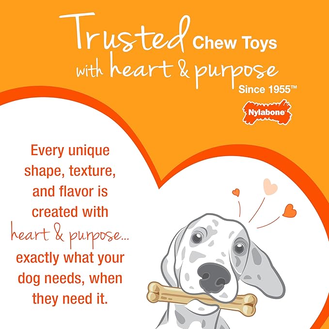 Nylabone Puppy Pacifier Chew Toy, Teething Toys for Puppies, Bacon Flavor, Small - Up to 25 lbs, 1 Count