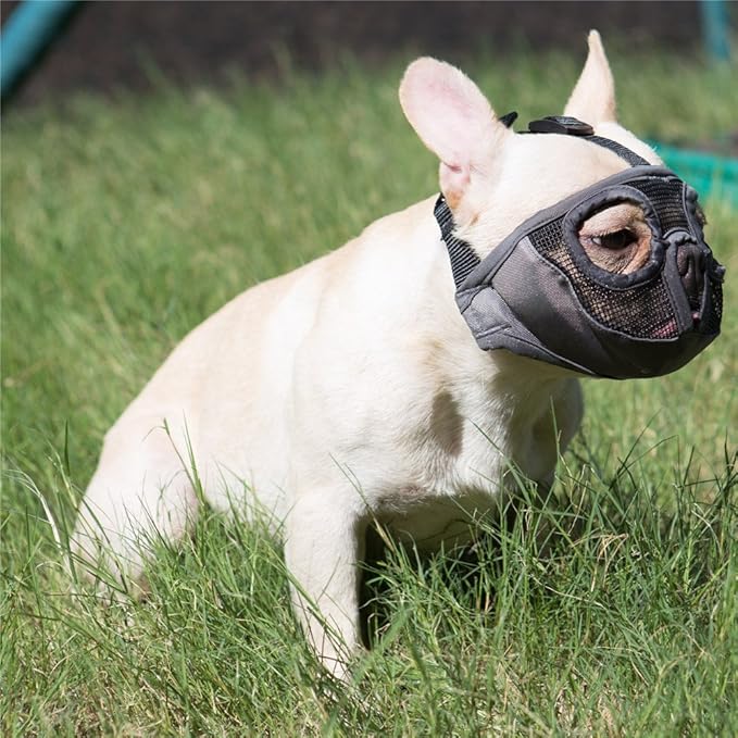 Short Snout Dog Muzzle- Adjustable Breathable Mesh Bulldog Muzzle for Biting Chewing Barking Training Grooming Dog Mask,Grey(Eyehole) M