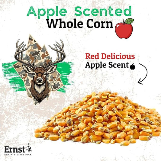 Ernst Grain & Livestock Apple Scented Deer Corn, Whole Kernel Corn for Wildlife Feed and Hunting Attractant, 46 lb Bag