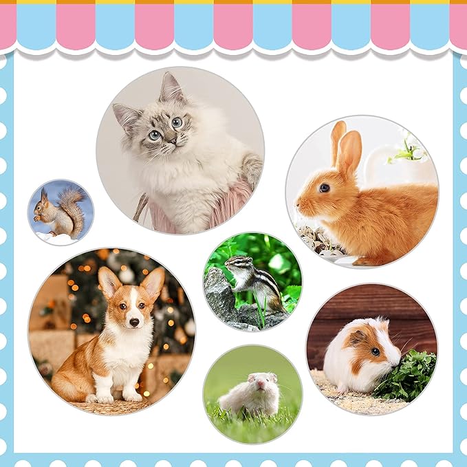Rabbit Grooming Kit, Rabbit Brush for Shedding with Bunny Nail Clipper, Rabbit Nail Trimmers with Pet Combs for Hamster Guinea Pig Ferret by KALAMANDA