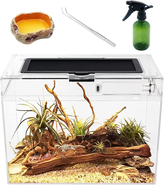 Reptile Growth Mini Reptile Terrarium,12" x 7"x 9" Reptile Tank with Full View Visually Appealing，for Insect，Fish，Tarantula，Hermit crab，Jumping spider，Iguana，Tortoise，Leopard Gecko，Frog，Bearded dragon