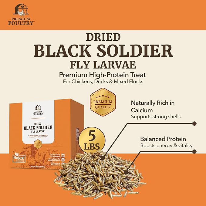 Black Soldier Fly Larvae for Chickens – High Calcium Chicken Treats for Strong Eggshells & Egg Production – Dried BSFL Grubs Poultry Feed for Ducks, Wild Birds & Backyard Flocks, 5lb