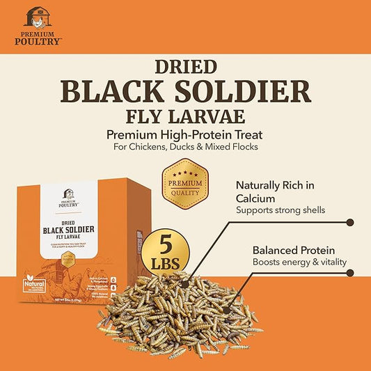 Black Soldier Fly Larvae for Chickens – High Calcium Chicken Treats for Strong Eggshells & Egg Production – Dried BSFL Grubs Poultry Feed for Ducks, Wild Birds & Backyard Flocks, 5lb