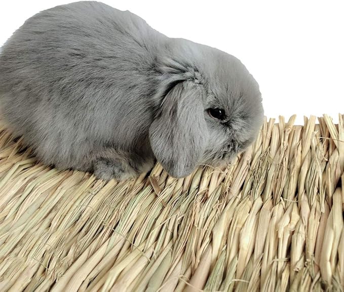 Hamiledyi Grass Mat Woven Bed Mat for Small Animal Bunny Bedding Nest Chew Toy Bed Play Toy for Guinea Pig Parrot Rabbit Hamster Rat(Pack of 3)