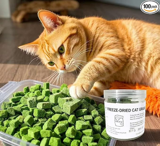 Fangool Freeze-Dried Cat Grass Treats,1.8oz Chicken Freeze-Dried Cat Grass Granules/80% cat Grass Content Hairbal Remedy and Teeth Cleaning