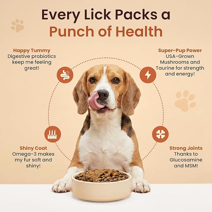 Everyday Dog Gravy - Premium Wet Dog Food Gravy Toppers for Dry Food – Tasty & Nutritious with Essential Vitamins and Supplements – Hip and Joint Supplement (Bacon & Beef Bundle)