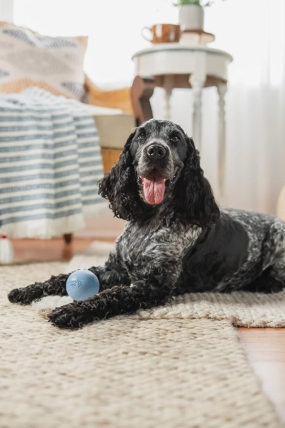 Harry Barker Natural Rubber Dog Fetch Balls, Durable High-Bounce Interactive Toy with Safety Air Vent, Treat-Stuffable Rubber Balls for Dogs, 2.5 Inch, 6-Pack