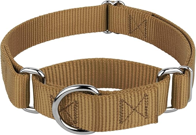 Country Brook Petz - Martingale Dog Collar - Heavy-Duty Training Collar with No Buckle - Service Dog Collar for All Pups - 20 Vibrant Colors (Coytote Tan, 3/8 Inch, 2XS)