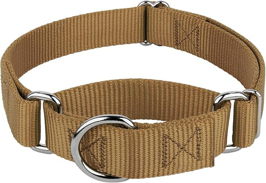 Country Brook Petz - Martingale Dog Collar - Heavy-Duty Training Collar with No Buckle - Service Dog Collar for All Pups - 20 Vibrant Colors (Coytote Tan, 3/8 Inch, 2XS)