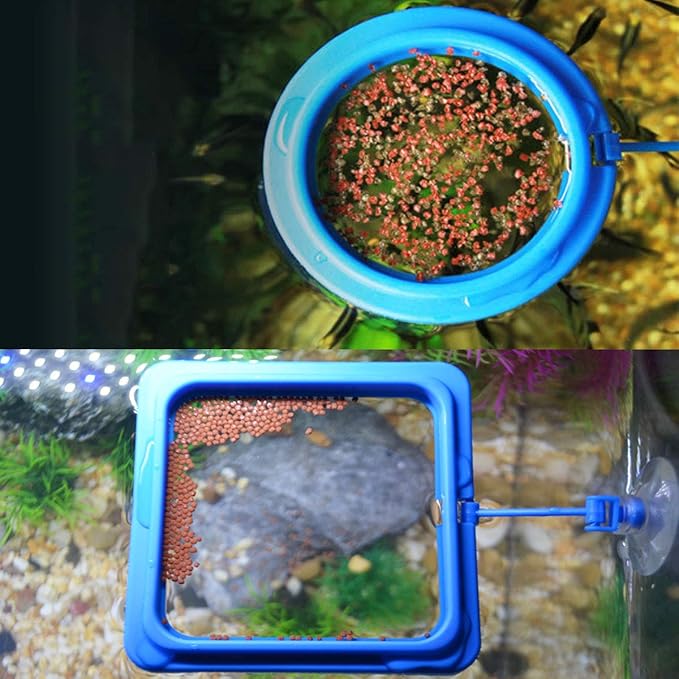 2PCS Fish Feeding Ring Round and Square Floating Food Feeder Circle with Suction Cup for Aquarium Fish Tank