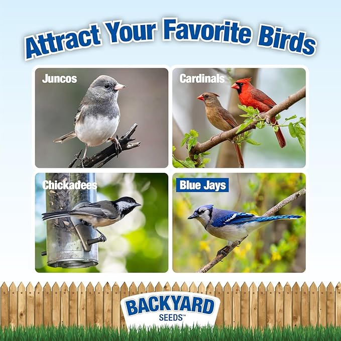 Backyard Seeds Black Oil Sunflower Seeds for Wild Birds 50lbs - Thin Shells, Premium Cardinal Food, Large Bulk Bag of Black Oil Sunflower Seeds