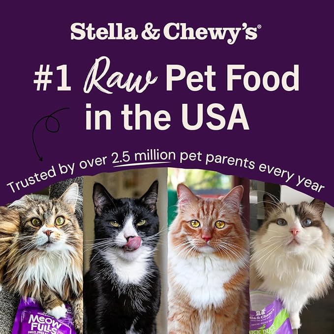 Stella & Chewy's Freeze-Dried Raw Cat Dinner Morsels - Premium Salmon & Cod Recipe with 98% Wild-Caught Fish & Organs - Natural Grain-Free Cat & Kitten Food - Made in USA - 8 oz
