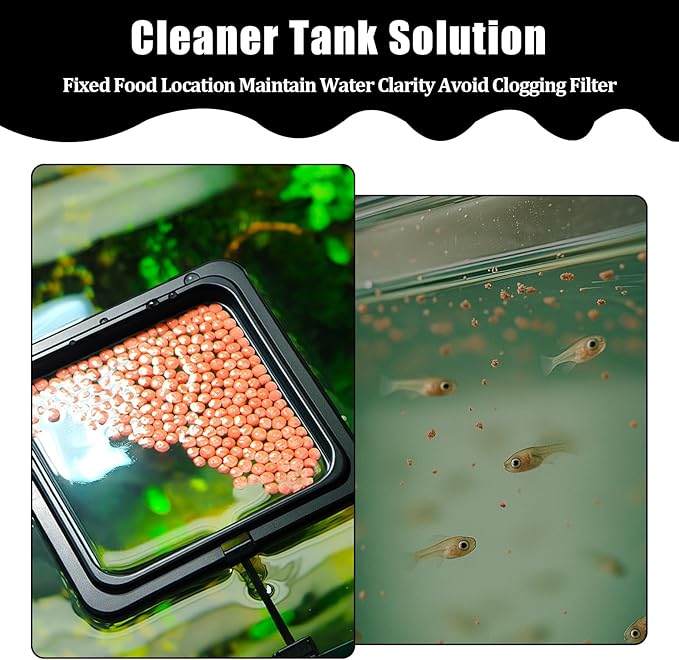 2PCS Small Fish Feeding Ring, Square and Round Mini Aquarium Feeder with Strong Suction Cup Floating Fish Feeder Ring for Betta Goldfish Guppy (Black)