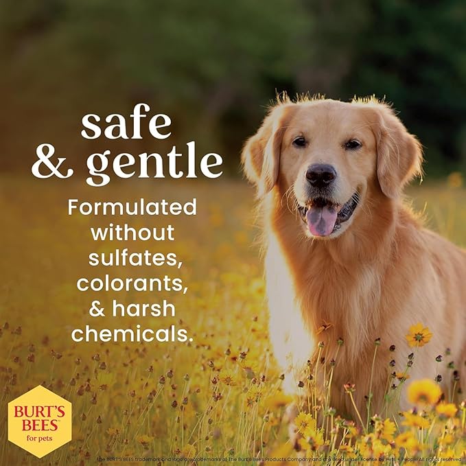 Burt's Bees for Pets Deodorizing Dog Shampoo with Apple and Rosemary, 95% Natural Origin, pH Balanced, Free of Sulfates, for Smelly Dogs, Gentle Dog Shampoo, 16 Fl Oz