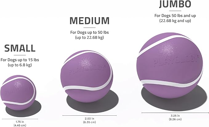 Playology Dog Toys | Squeaky Chew Ball for Dogs, Value 2-Pack | Bacon Scented Medium Dog Balls | Bouncy Floating Chew Toys for Fetch