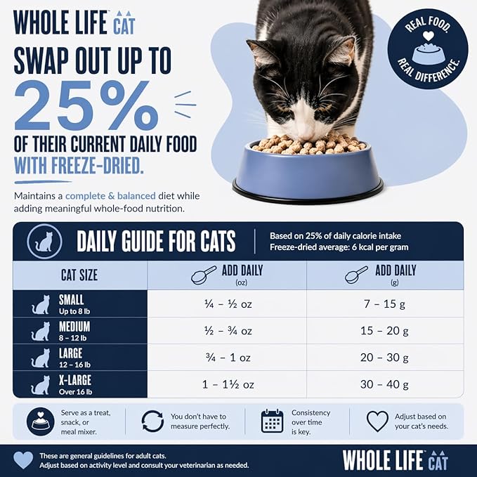 Whole Life Cat Just One Chicken Freeze Dried Cat Treats - Human Grade High Protein Food, Healthy Training Snacks, Freeze Dried Chicken Food Toppers, USA Made Natural Treats - 9 oz (Pack of 1)