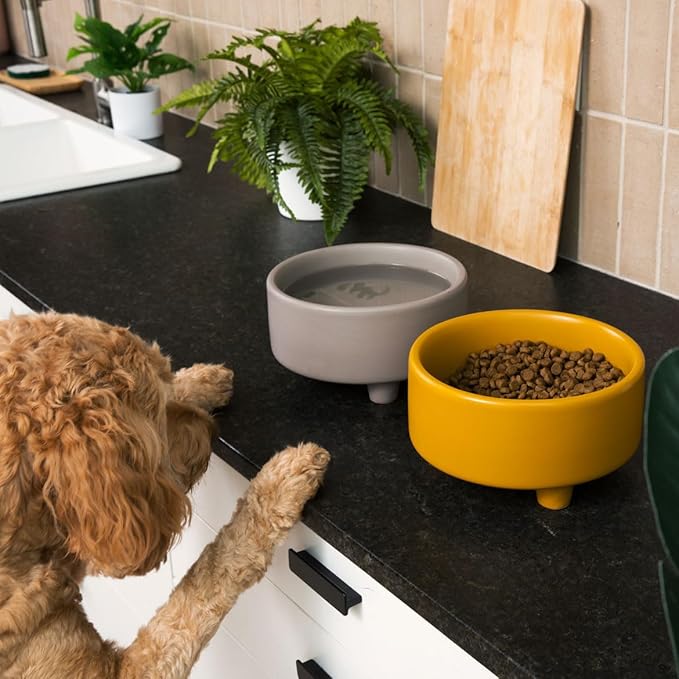 Waggo Uplift Ceramic Dog Bowl for Small Medium and Large Breeds - Heavyweight and Durable Pet Food and Water Dish Crock, Dishwasher Safe, Modern, Elevated Feeder (Olive, Medium)