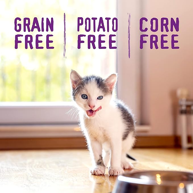 Stella & Chewy's Raw Coated Premium Kibble Cat & Kitten Food – Grain Free, Protein Rich Meals – Cage-Free Chicken for Kittens Recipe – 5 lb. Bag (Pack of 2)
