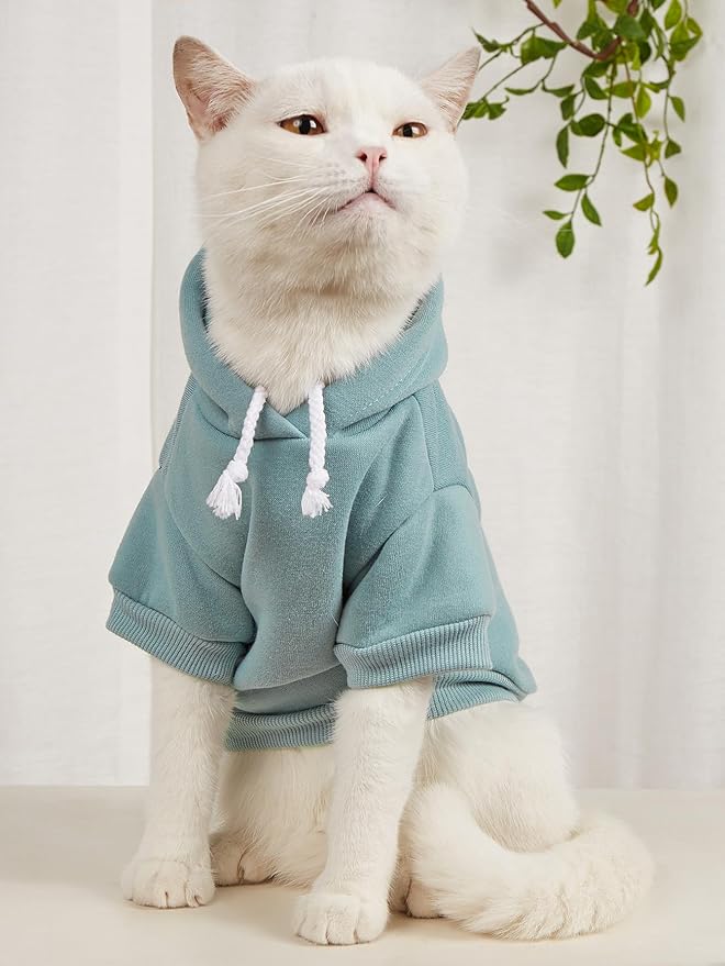 QWINEE Basic Dog Hoodie Sweatshirt Puppy Sweater Warm Cat Costumes Pet Clothes for Chihuahua Puppy Kitten Small Medium Dogs Grey and Cadet Blue Large